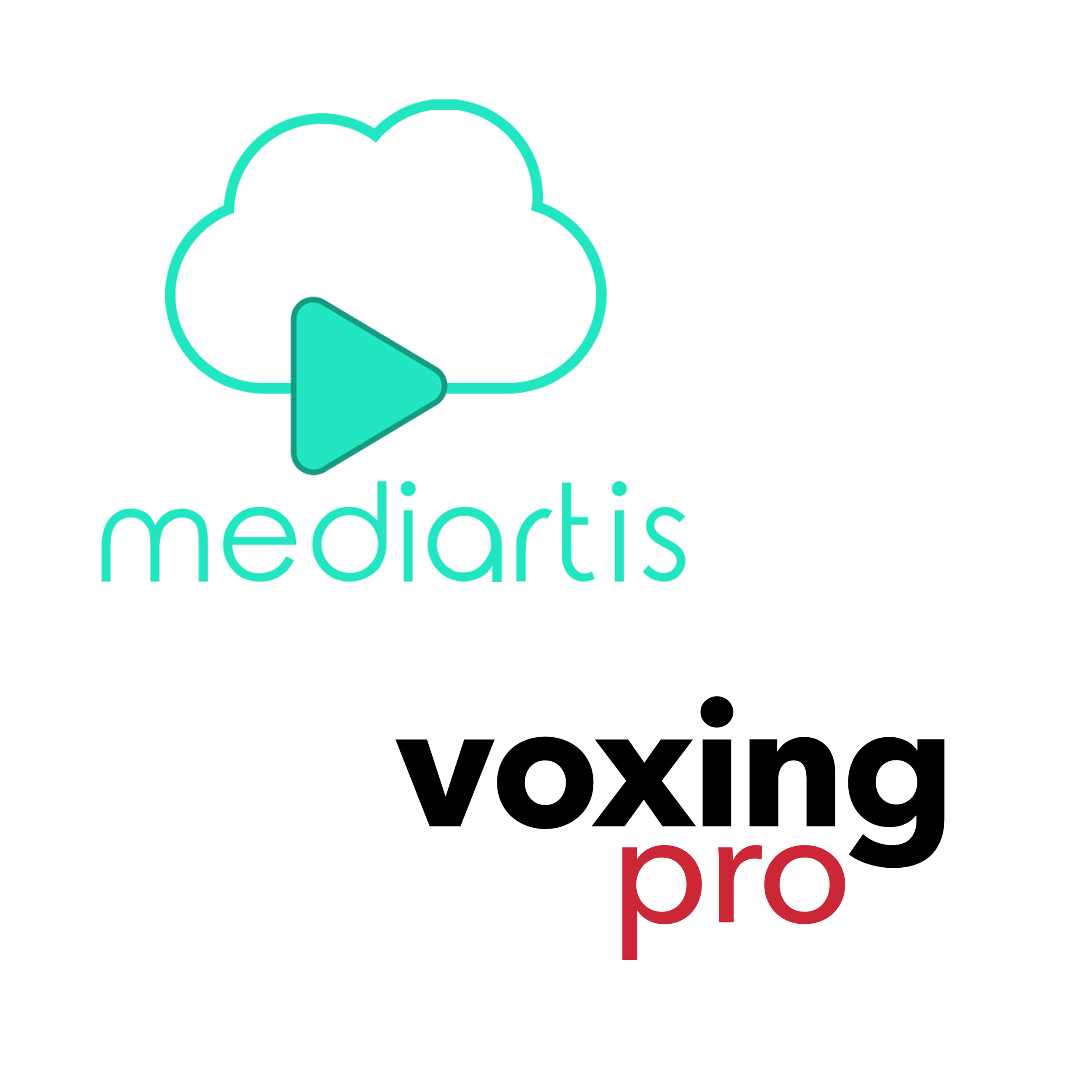 360° Voice Casting Solution